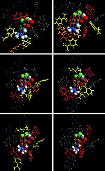 Snapshots of coumarin 151 solvated by DMA. The red-shaded DMA are those that can transfer an electron in under a few hundred fs. Note the dynamic variation in those DMA that can undergo fast electron transfer.